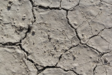 Ground texture