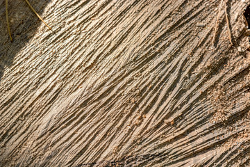 the texture of chopped wood close up
