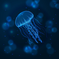 Hand drawn sketch isolated jellyfish, marine animals