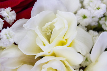 bouquet de fleurs