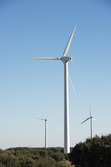 Wind energy concept