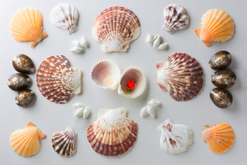 A symetrical pattern made with a collection of various shells - open shell with red heart in the middle