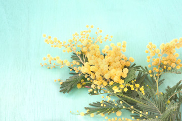 Yellow Mimosa flowers(Acacia) on a green wooden table.top view
