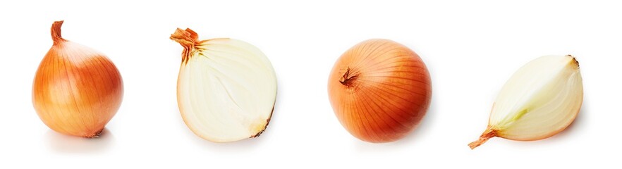 Set of fresh onion isolated on white background
