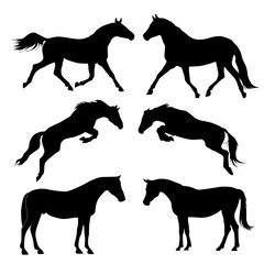 Seth silhouettes of black horses