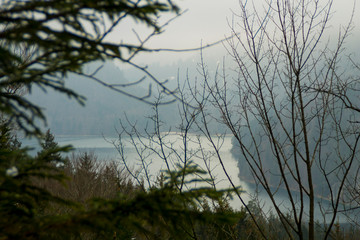 wasser-bäume-natur