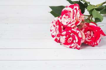 Red roses on white wooden background with copy space.