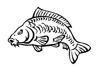 carp fish bald without scales black and white icon