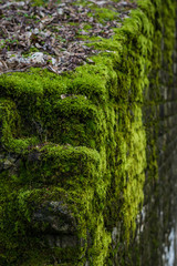 antike Mauer vermoost und verwittert