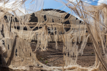 Torn nets in abandoned banana plantation in Tenerife, Canary Islands, Spain.