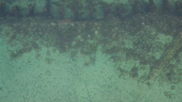 Schiffswrack Altengamme