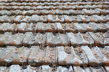 Tile roof