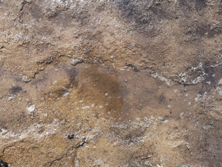 Texture of melting snow on the sidewalk close-up in early spring