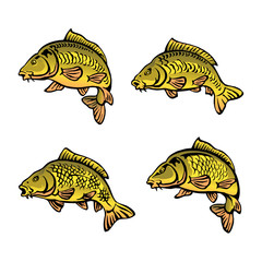 carp fish set of color icons isolated on white background