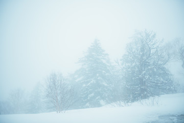 abstract background with snowflakes