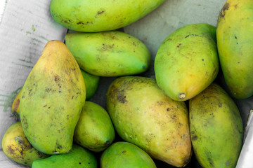many green-yellow mangoes lie on the whole frame