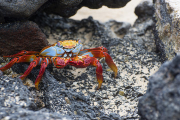 Old yellow fishing boat on beach Hastings England