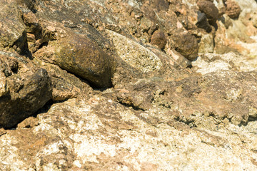 Part of the rocky stones for the whole frame