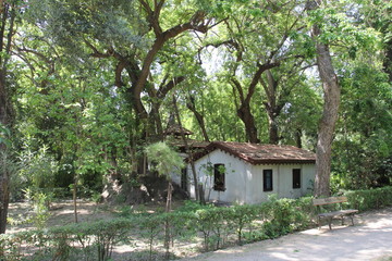Fototapeta na wymiar House between the trees