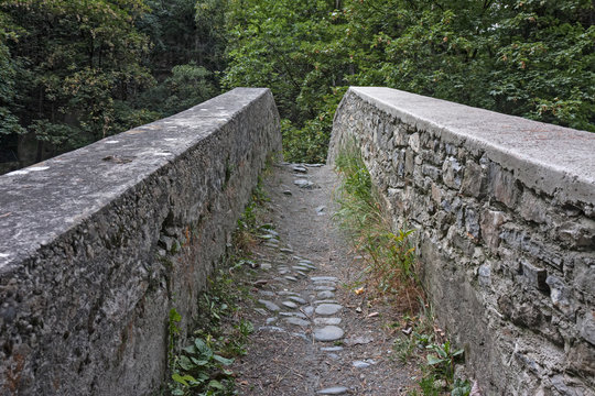Front view of a stone bridge in the forest in the mountains