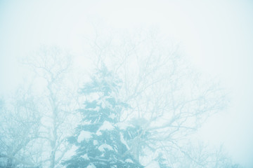 abstract winter background