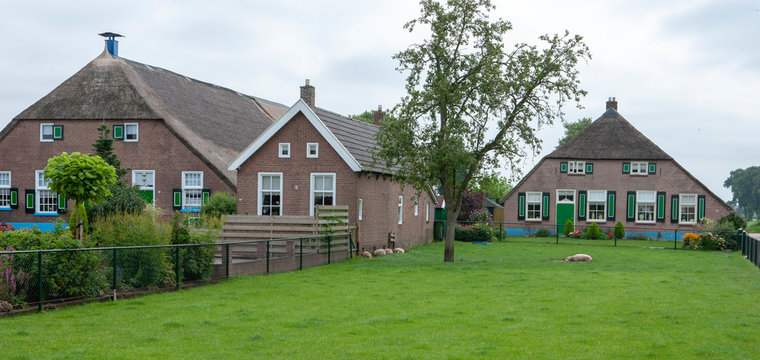 Farmhouses in the village of Staphorst Netherlands. Countryside. Gardens. Traditional farming. Farm. Countrylife. Overijssel. Netherlands. Folklore