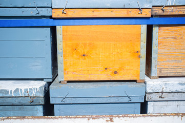 Trailer load with wooden hives ready to move