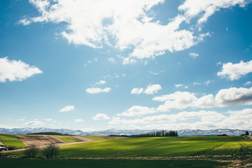 Obraz premium Hokkaido, japan