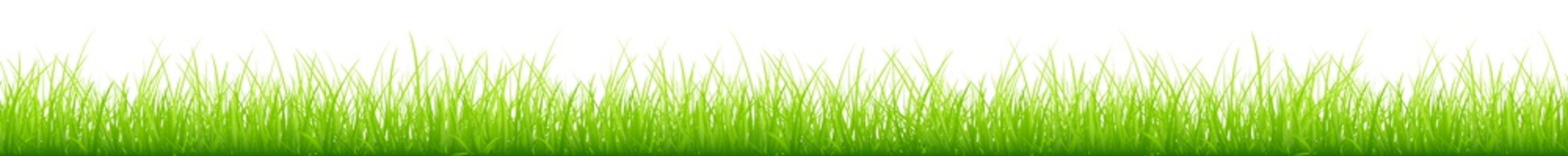 Schmale Rasenkante Grün