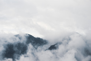 Mist View at Alishan