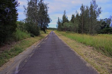Fototapeta na wymiar Australian single lane sealed uphill rural road background