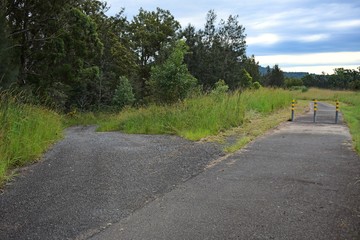 Australian forked branch in rural roads background
