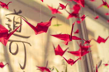 Origami hangs on the background of hieroglyphs