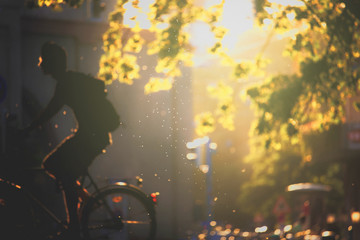 Light&bike