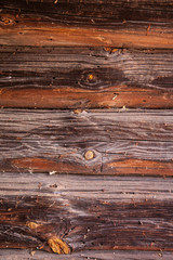 wooden background, texture, close up