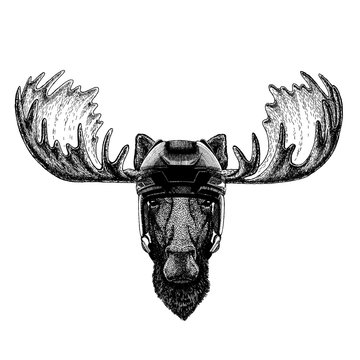 Mooske, elk animal wearing hockey helmet. Hand drawn image of lion for tattoo, t-shirt, emblem, badge, logo, patch.