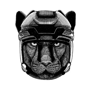 Panther, puma, cougar, wild cat, animal wearing hockey helmet. Hand drawn image of lion for tattoo, t-shirt, emblem, badge, logo, patch.