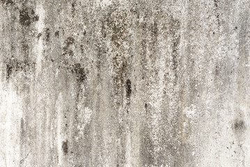 Grunge concrete wall for background and texture material