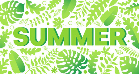 Horizontal background with jungle palm tree branches and leaves. Poster decorated by foliage of rainforest plants. Banner on summer vacation theme.