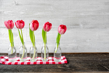 Fünf Tulpen in Vasen