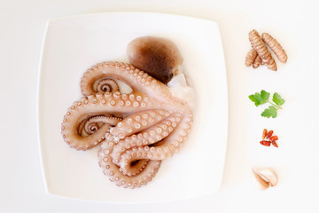 Raw octopus with ingredients for cooking preparation. Top view.