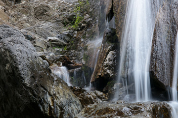 Obraz premium Los Padres National Forest