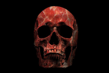 Fresh meat skull isolated on black
