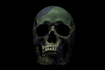 Front side view of human skull on isolated black background. Camouflage color skull