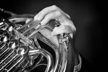 French horn instrument. Hand playing horn player Black and white image