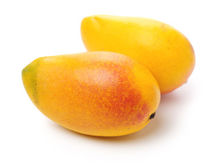 Mango on white background