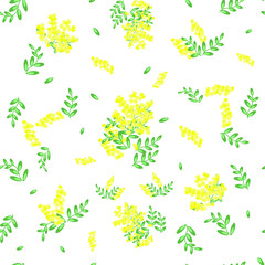 Fototapeta na wymiar Seamless pattern of spring flowers Mimosa