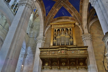 Duomo di San Martino Il Duomo di Lucca, Toscana.  il principale luogo di culto cattolico della città di Lucca, Chiesa madre dell'omonima arcidiocesi.