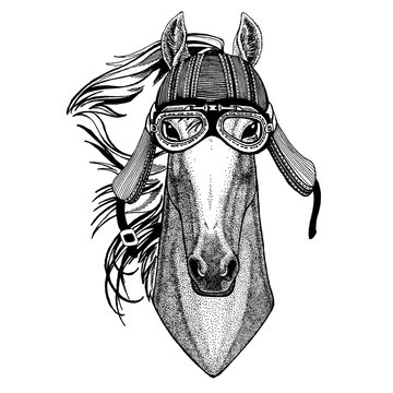 Horse, hoss, knight, steed, courser Wild biker animal wearing motorcycle helmet. Hand drawn image for tattoo, emblem, badge, logo, patch, t-shirt.