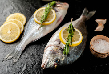 two fresh raw Dorado fish with spices and olive oil on a stone background.